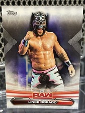 2019 WWE Topps Lince Dorado Wrestling Card NXT Lucha House Party AAA CMLL Balam
