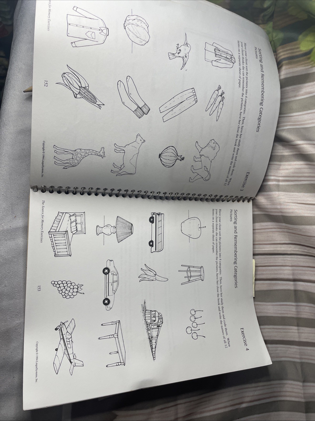 Picture 11 of 11