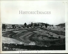 1972 Press Photo A farm in Kenya that threatens African ecology - saa40038