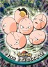 Exeggcute Pokemon 2000 Topps TV 102 NM