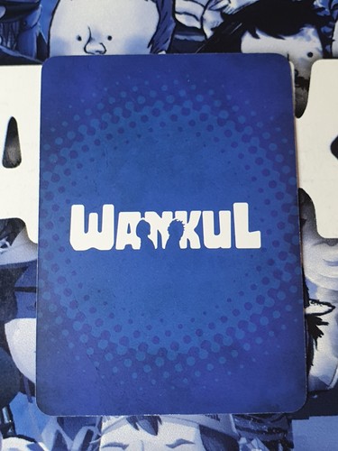CARTE WANKUL DE FACE R 104 TERRACID WANKIL S2 - Picture 2 of 2