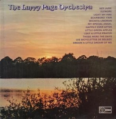 Larry Page Orchestra Self-Titled LP vinyl UK Djm 1973 but sleeve has light