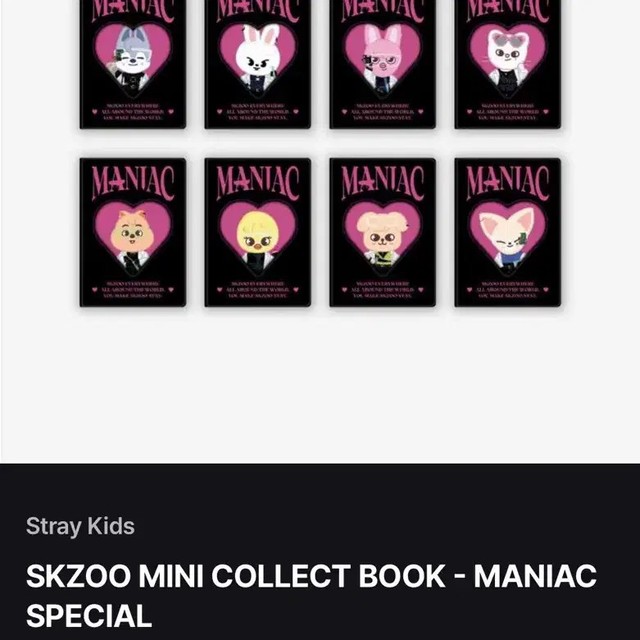 Stray Kids Mini Photocard & Binder Set - Rebit Rino