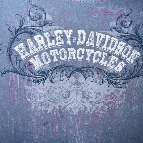 Harley Davidson Gatlinburg TN Hillbilly Shirt Women Tag SZ 2XL Blue White & Pink - Picture 3 of 6