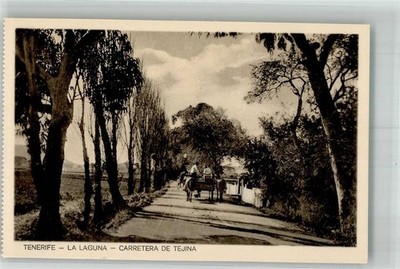 10749781 - San Cristóbal de La Laguna Carretera de Tejina Teneriffa