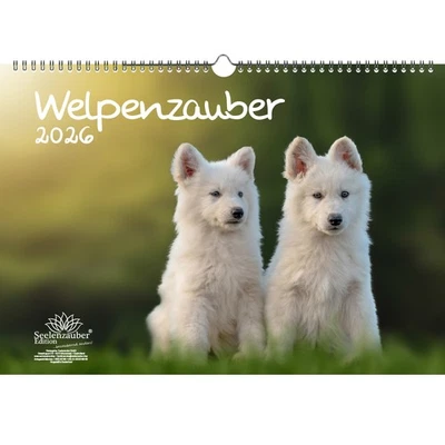 SEELENZAUBER GMBH Welpenzauber DIN A3 Kalender für 2026 Hunde Welpen - Seelenzauber