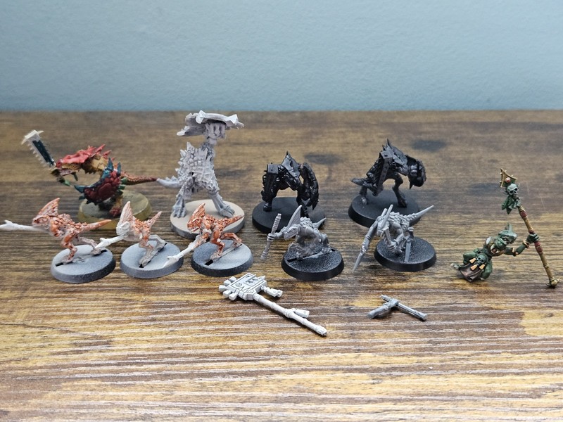 Warhammer Various Seraphon Models - Sunblood/Skinks. Age of Sigmar Lizardmen GW