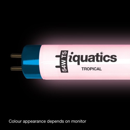 3 x Acuario fluorescente compatible con joyas iQuatics T5 tropical, 54w 1047mm 42" - Imagen 4 de 5