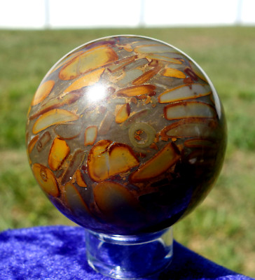 Personal Spirit Guide Stone Bamboo Fossil JASPER Quartz Crystal Sphere Ball