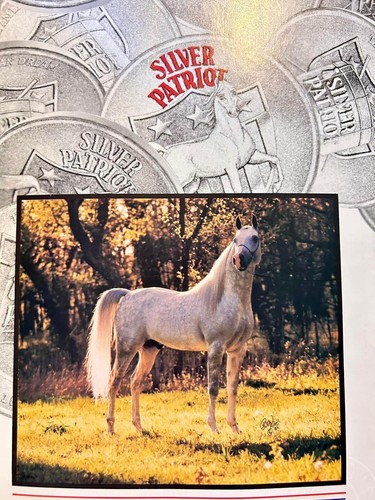 Arabian Horse Times Magazine 💌 September 1985 Issue Vintage - Picture 4 of 7