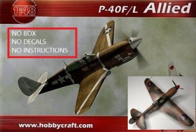ERTL/HOBBYCRAFT 1/48 (RECESSED) P-40F/L Warhawk HC1417 - GROUP BUILD *READ*