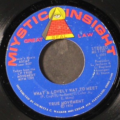 True Bewegung: What A Lovely Way To Meet / Depression Miystic Insight 7 '' Einzel