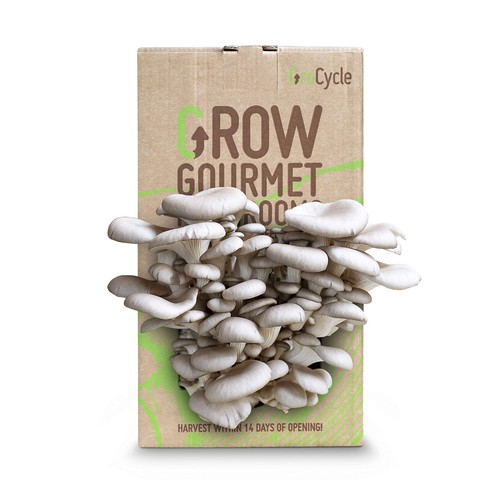 GroCycle Oyster Mushroom Growing Kit | Mushroom Grow Kit | Gardening Gifts for