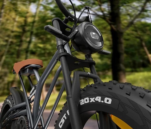 JANSNO X50M-17 750W Elektrofahrrad 48V17Ah 20 Zoll Offroad E-Mountainbike 48km/h - Bild 11 von 23