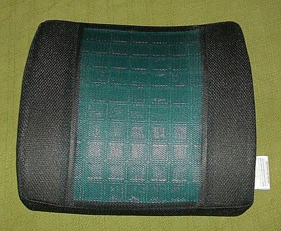 samsonite car pillow
