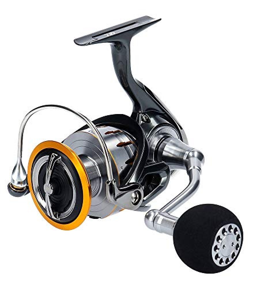 DAIWA 18 BLAST LT6000D-H Spinning Reel New | eBay DAIWA 18 BLAST LT6000D-H Spinning Reel New | eBay