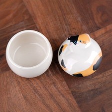 Cute Pet Cremation Ashes Storage Box 150ml Dog Cat Cinerary Casket Bird Mouse