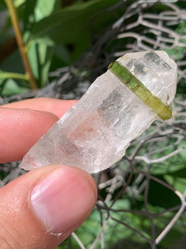94.75 Carat Green Tourmaline on Quartz Matrix – Natural Crystal from Pakistan - Picture 15 of 17