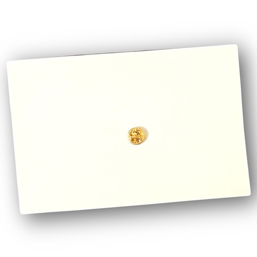2022 Star Cast Mitglied des Monats Chuck E Käse Mitarbeiter Pin und Karte - Bild 5 von 5