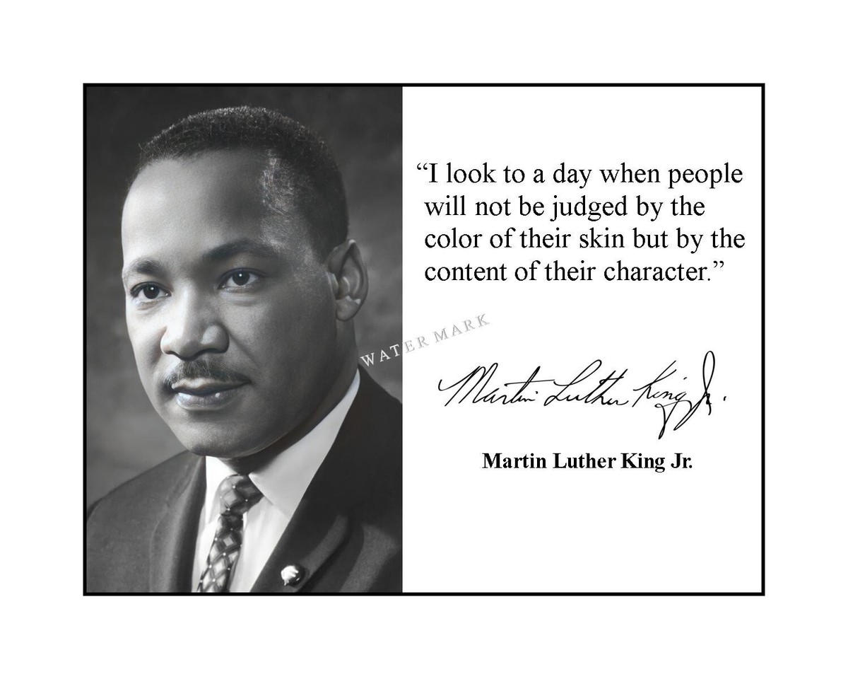 Mlk Quotes Character