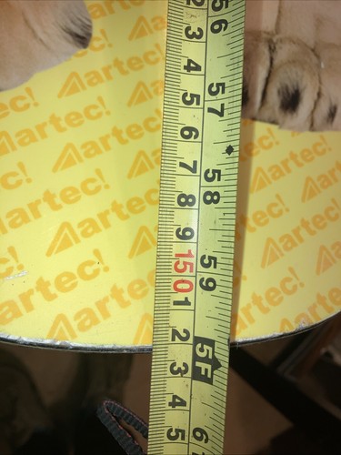 ARTEC TITAN 155 ANIMAL LION THINKING ICECREAM SUNDAE DREAM SNOWBOARD RARE 2013 - Picture 16 of 17