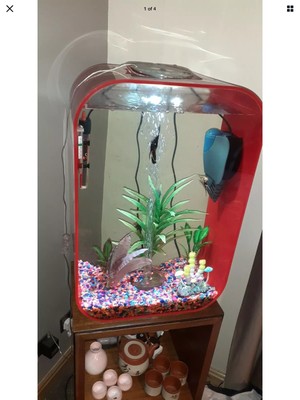 60 litre fish tank