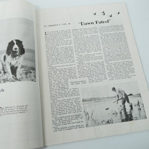 Hunting & Fishing Magazines October & November 1933 Duck Hunt Gun Ads Vintage - Imagen 7 de 9
