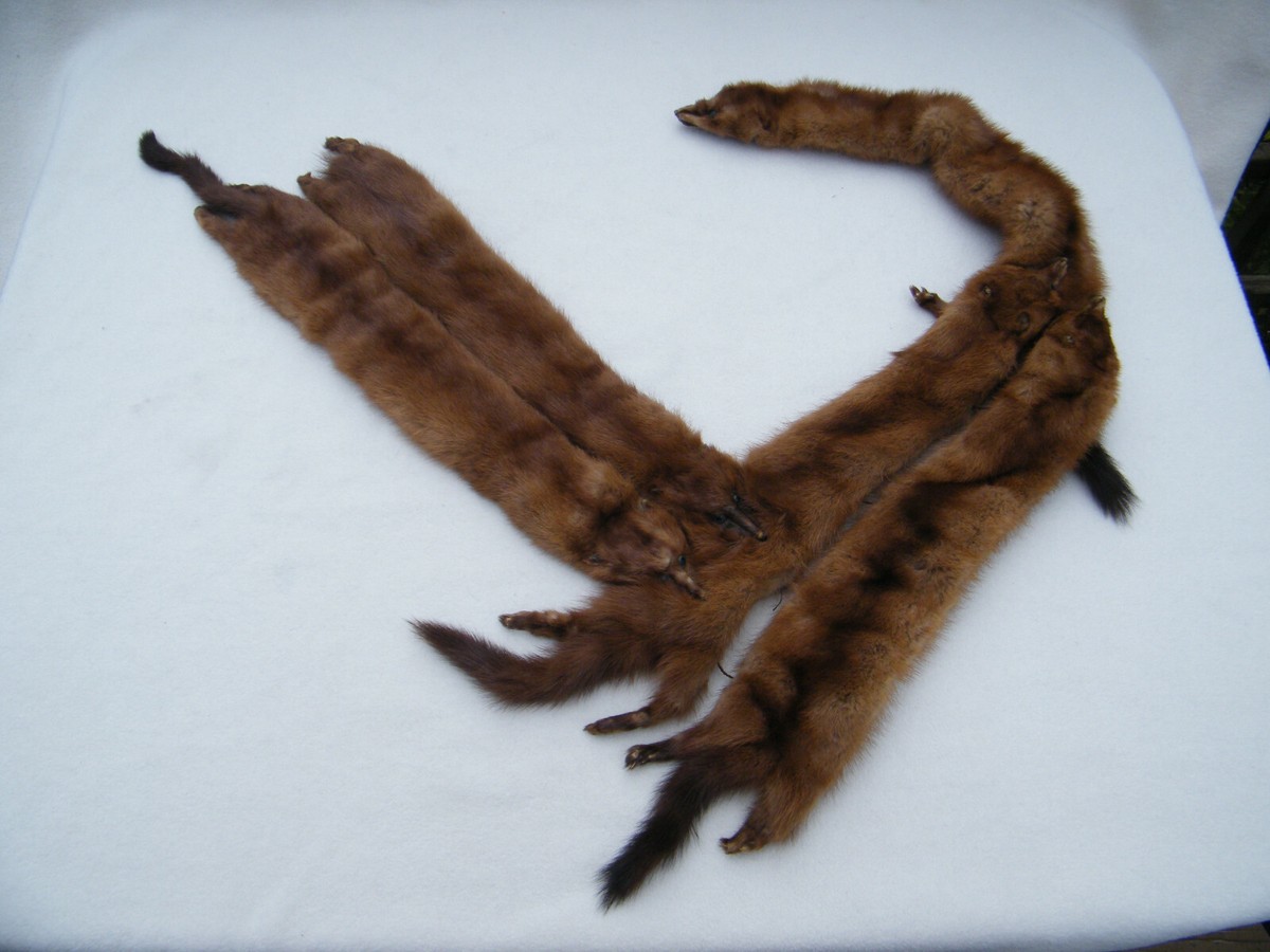 Vintage 5 Mink Fur Stole Pelts Scarfs Heads Full Body