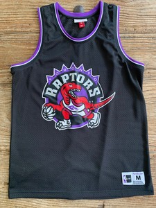 raptors jersey mitchell and ness