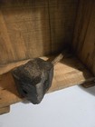 Bild 9 von 12