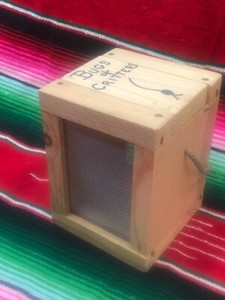 Bug Critter Keeper Wooden