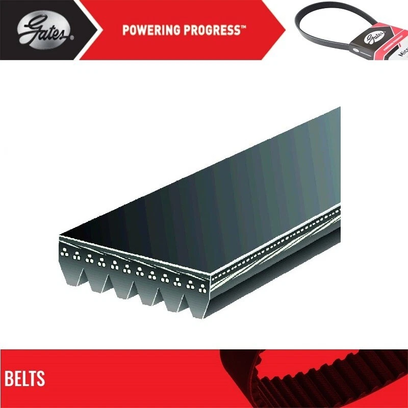 Gates Power Steering & A/C Belt For 1984-1985 LINCOLN MARK VII L6-2.4L - Image 2 of 4