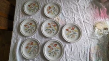  Painted Poppy Fanci Florals Collection Japan Set Of 7 Salad Plates 7.5" MCM