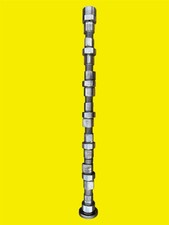 Cummins Qsbisb 6.7l Rear Gear Diesel Engine Camshaft 3979506 3955069