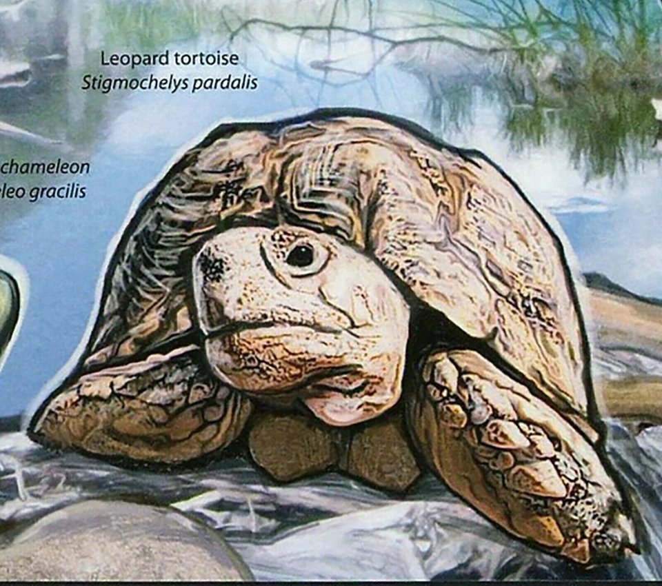 爬行动物邮票 Gaboon Viper Bitis Gabonica 豹龟 S/S 全新无标签 #2784/Bl.373 — 第 4/4 张图片