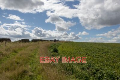 PHOTO  VEGETATION VARIATION ON A FARM TRACK NEAR RED HEAD THIS PHOTO SHOWS VEGET
