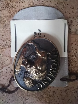 Wyoming Buffalo (Unused) 1982 Brass Heritage Mint Belt Buckle #PD-2181