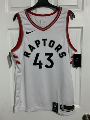 pascal siakam nike jersey