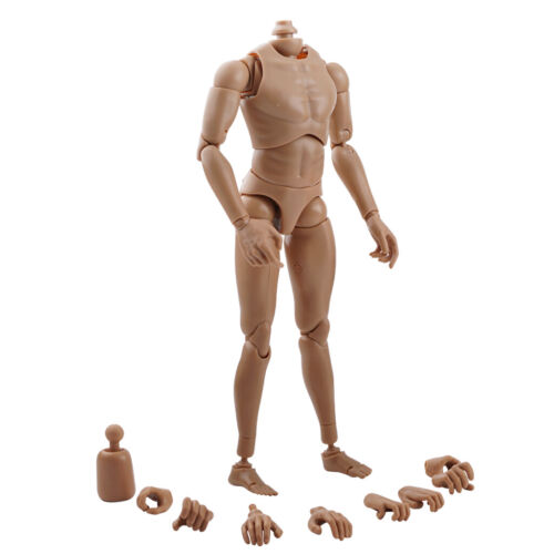 1/6 Muscle Male Body Europe Model Flexible for 12" Hot toys Figure Head Sculpt - Afbeelding 1 van 11