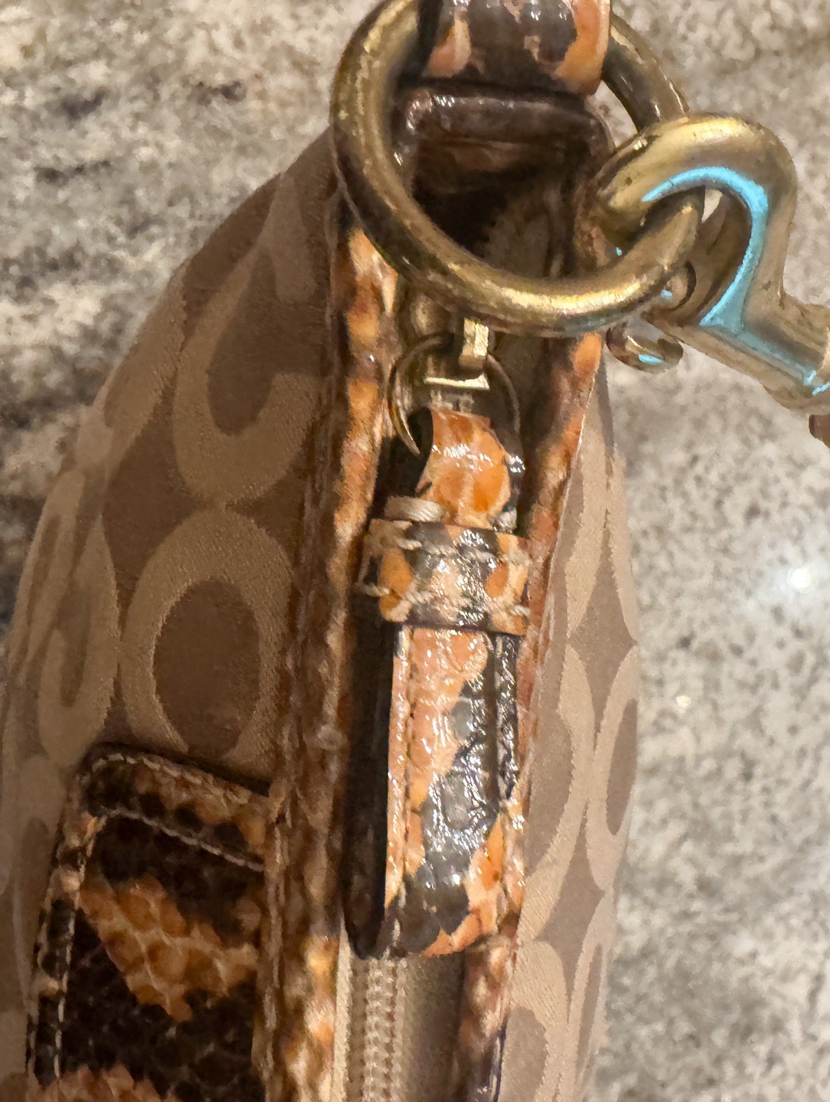 Coach Python Snakeskin Embossed Strap & Lined Mon… - image 5