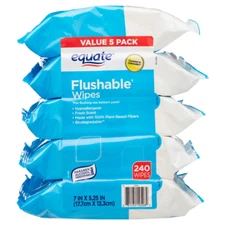 Equate 240 Count Fresh Scent Flushable Wipes, 5 Packs of 48 Wipes