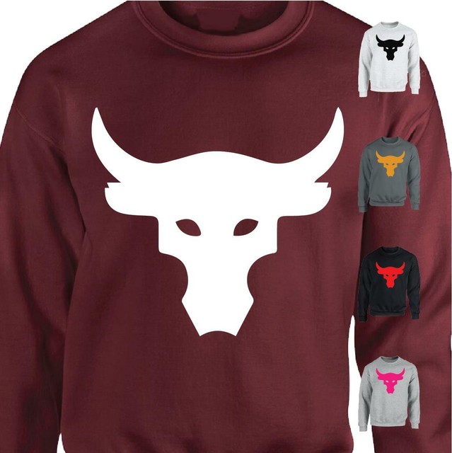 under armour bull sweatshirt