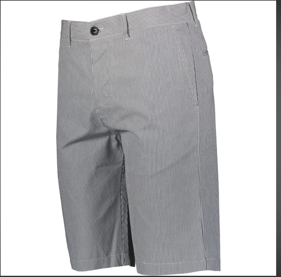 Edwin Men's Blue & White Striped Cotton Rail Short