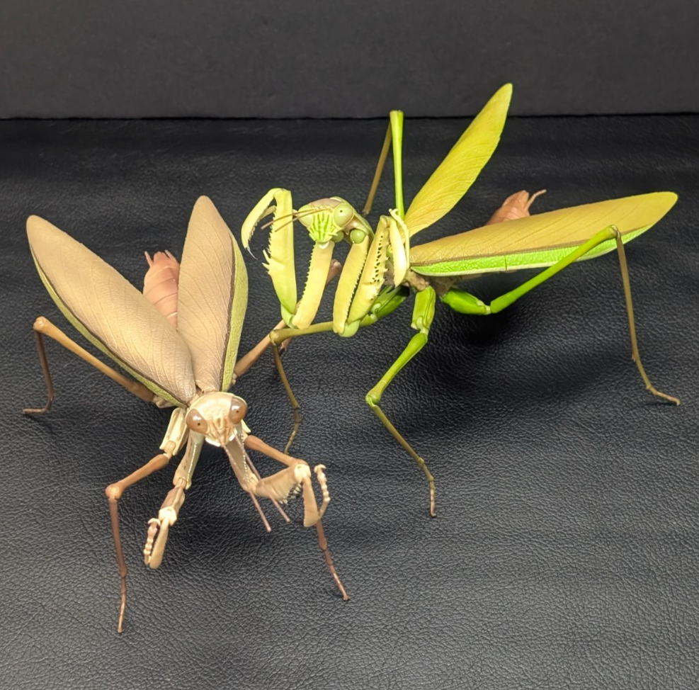 VTG × TTGD / Tiger Mantis 最終ロット Bandai Gashapon Japanese Giant Mantis Advanced Figure 5.9