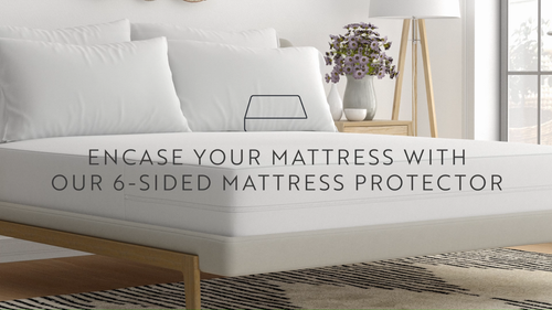 Kaycie Gray Basics High Quality Zippered Mattress Protector 100% Bed Bug Proof - Video 1 of 1