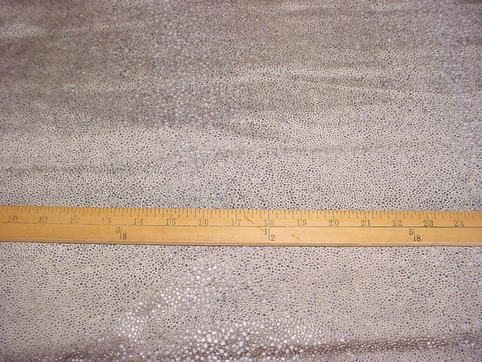 2-1/2Y Kravet Couture 34239 L'escale Silvery Gray Scale Velvet Upholstery Fabric - Image 2 of 3