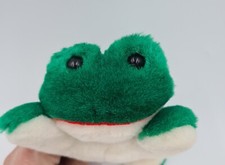 Plush Green Frog Beenie Name Skippy