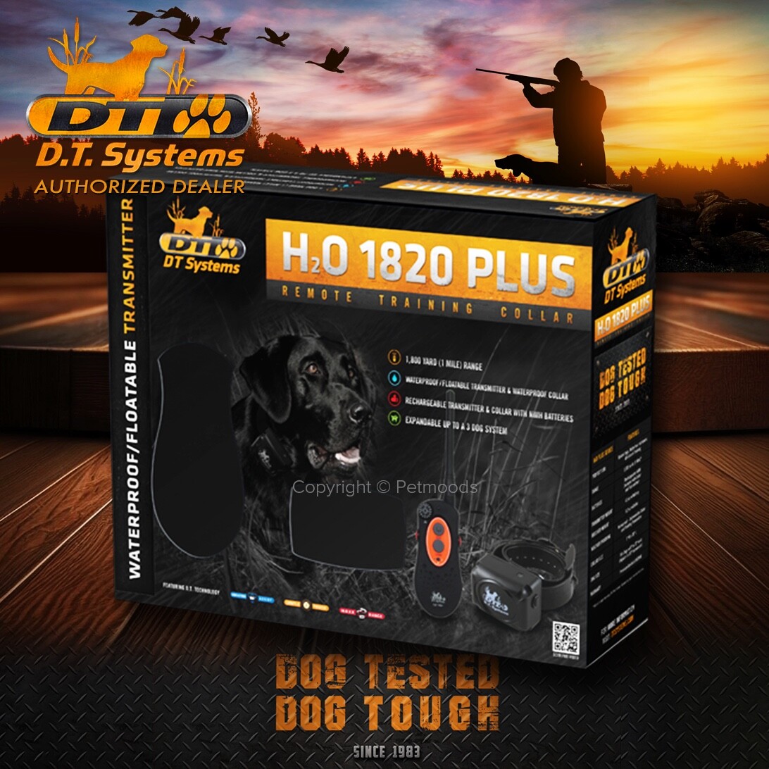 DT Systems H2O 1820 PLUS Expandable Dog Remote Trainer 712548324011 eBay