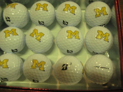 1 dozen BRAND NEW Bridgestone E6 golf balls University of Michigan