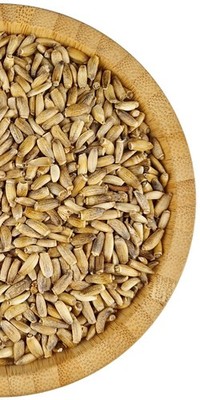 Mariendistel Samen 100% natürlich - Premium Qualität - Silybum Marianum - 50g 1kg